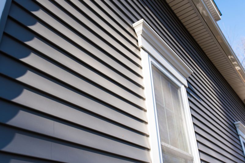 Vinyl Siding